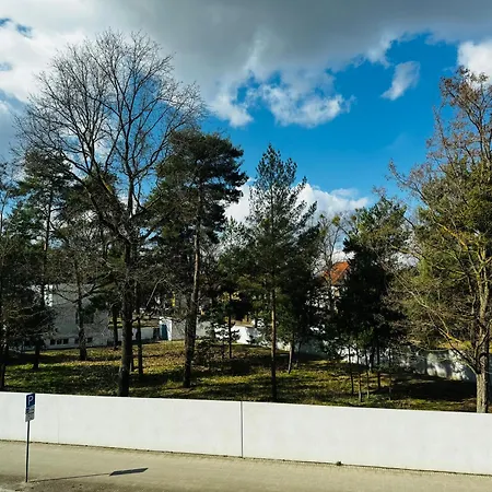 Citi Homes - 3br, 6 Beds, Tv, Kitchen Near Bauhaus & Meisterhaeuser *